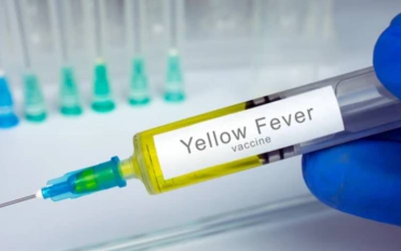 Are Vaccinations Required to Enter Kenya? Yellow Fever Guide 2026